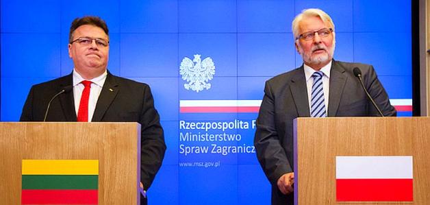 Status Polaków na Litwie wciąż niejasny. Spotkanie Ministrów Spraw Zagranicznych w Warszawie